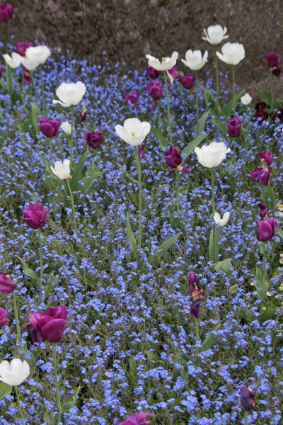Landesgartenschau   029.jpg
